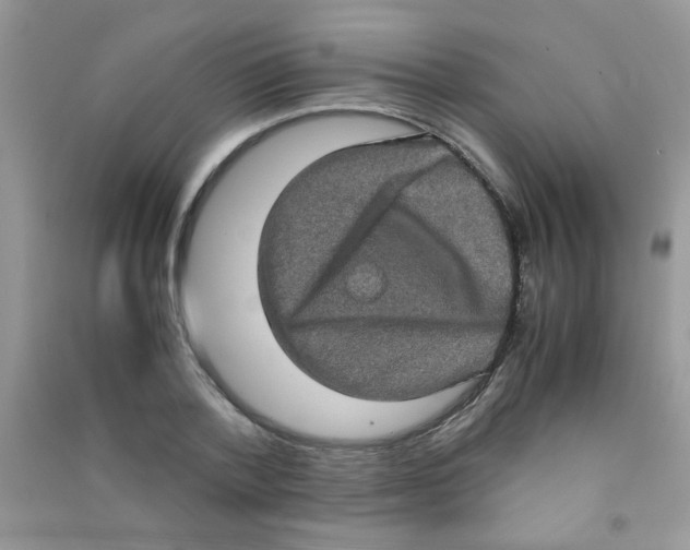 X0000090620788200708141412