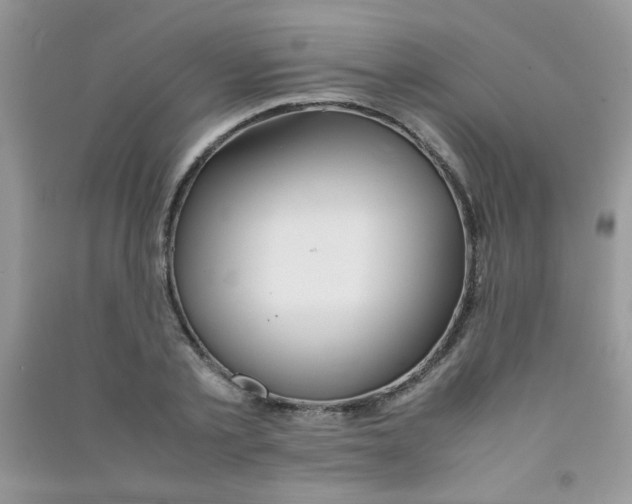 X0000090620789200708141412