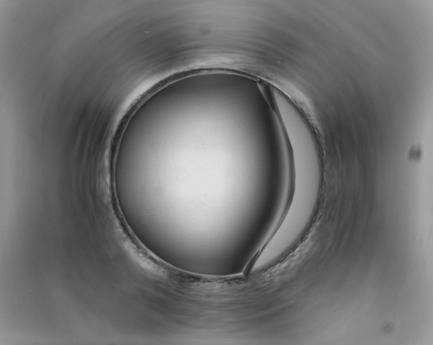 X0000090620792200708141412