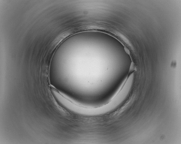 X0000090620793200708141412