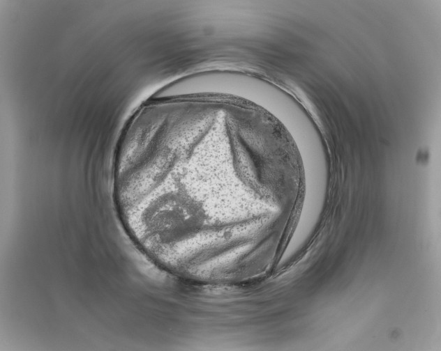 X0000090620795200708141412