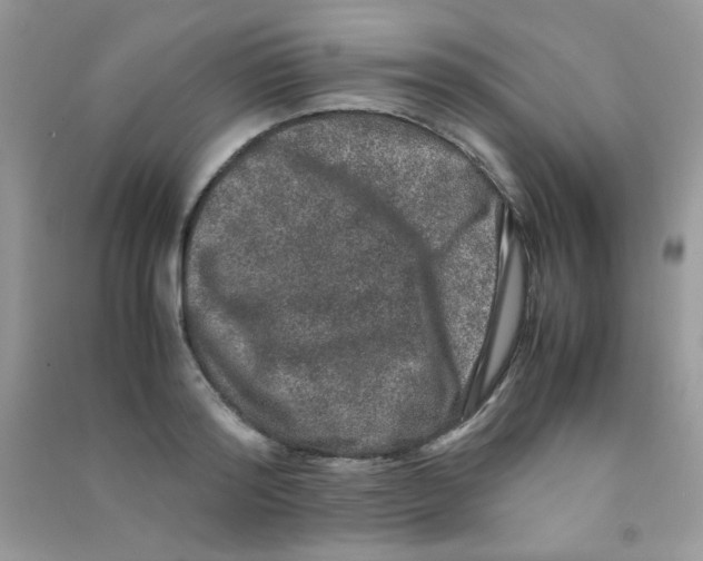 X0000090620796200708141412