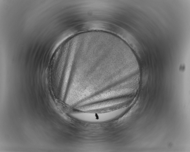 X0000090620798200708141412