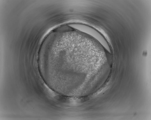 X0000090620799200708141412