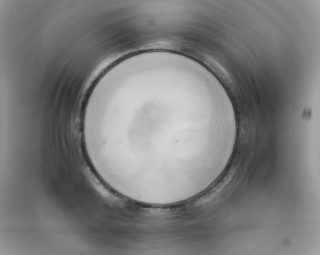 X0000090620800200708141412