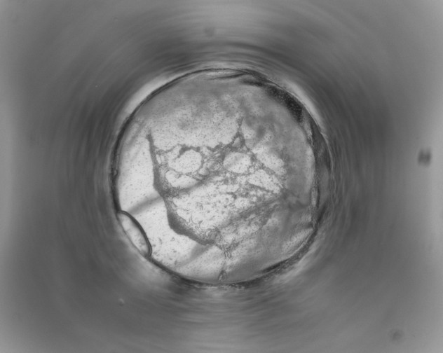 X0000090620803200708141412