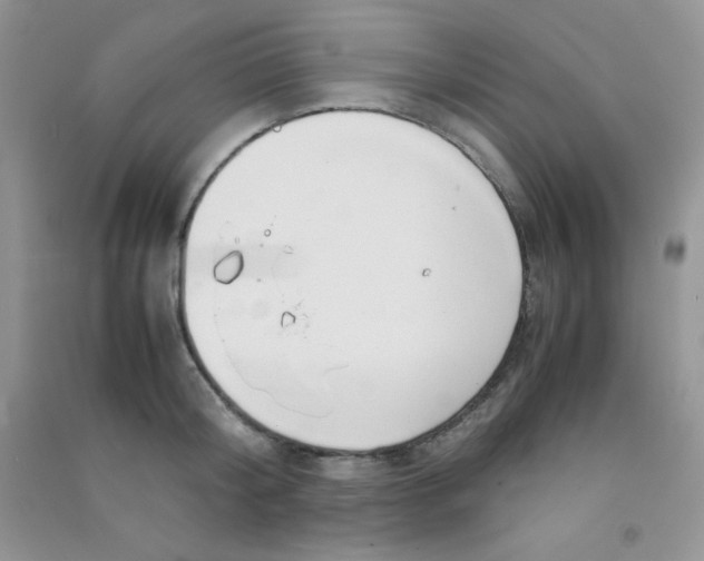 X0000090620804200708141412