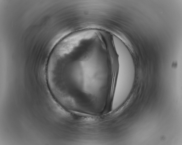 X0000090620806200708141412