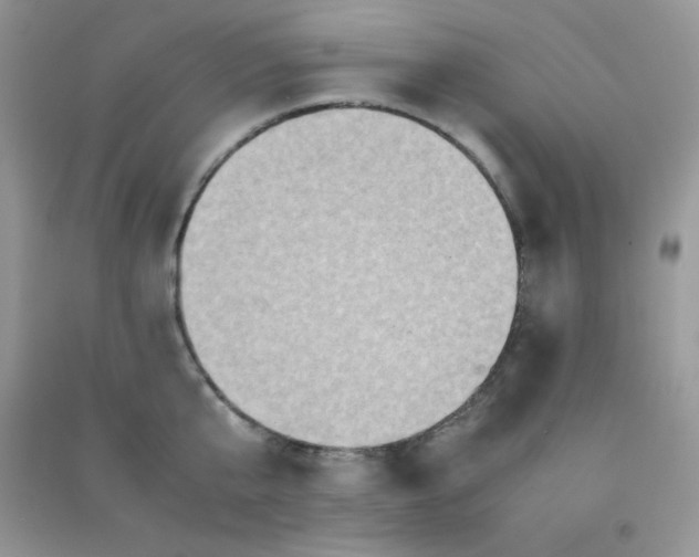 X0000090620807200708141412