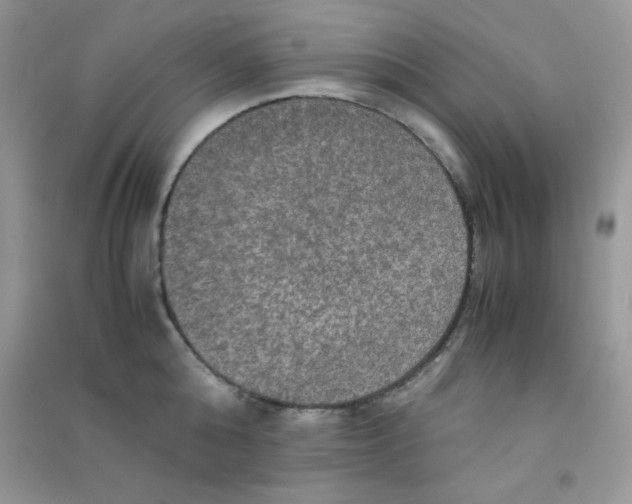 X0000090620808200708141411