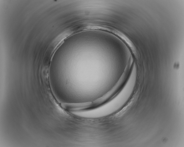 X0000090620809200708141411