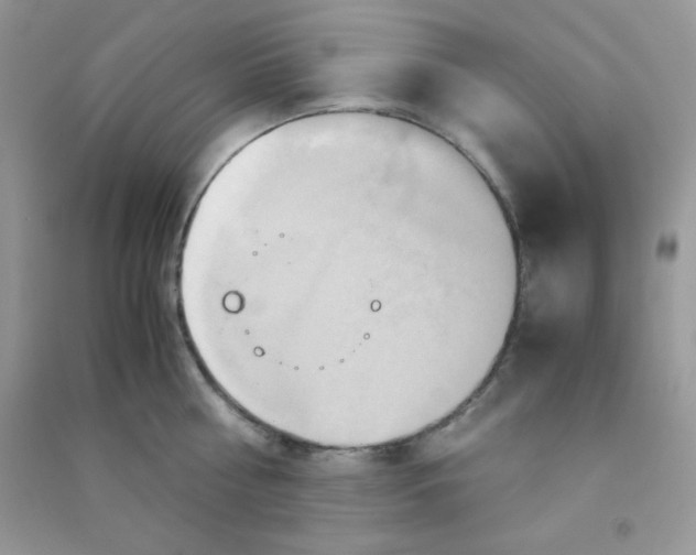 X0000090620810200708141411