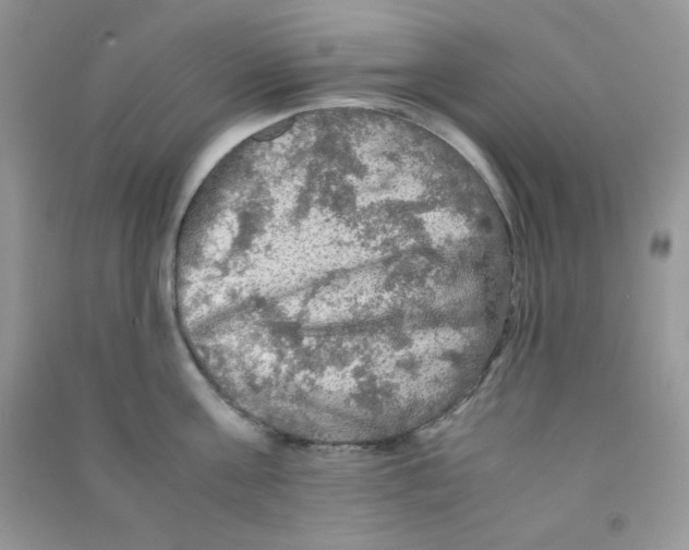 X0000090620811200708141411