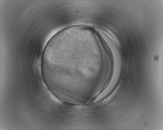 X0000090620812200708141411