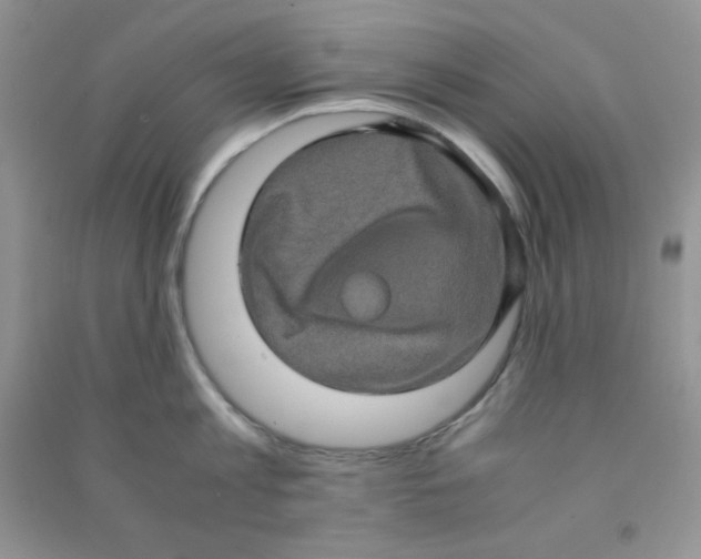 X0000090620813200708141411