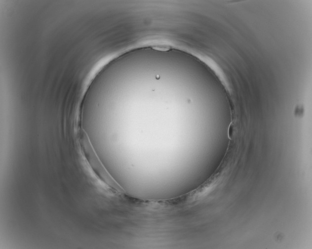 X0000090620815200708141411