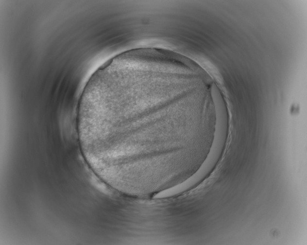 X0000090620816200708141411