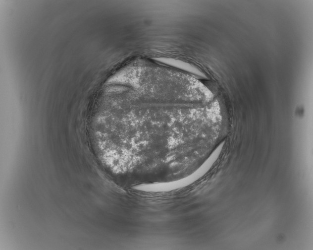 X0000090620817200708141411