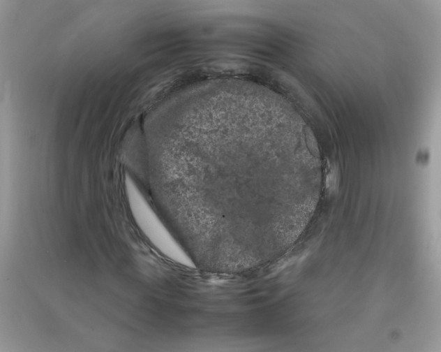 X0000090620819200708141411