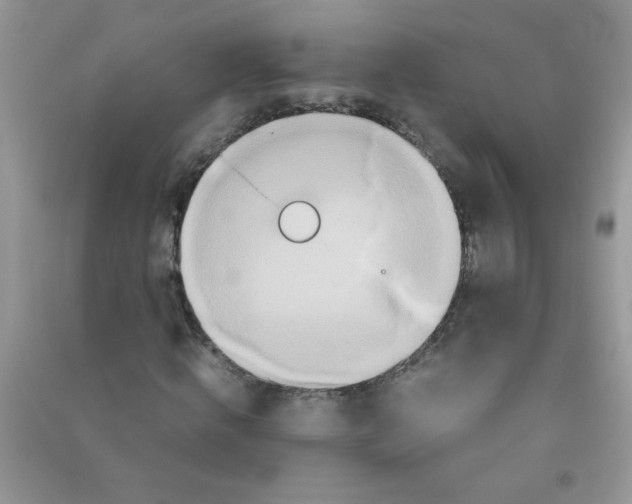 X0000090620820200708141411