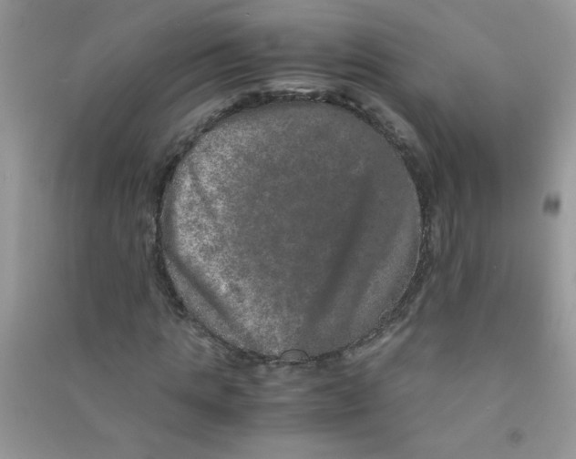 X0000090620821200708141411