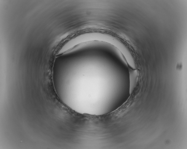 X0000090620822200708141411