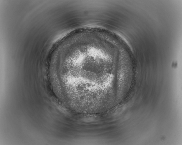 X0000090620823200708141411