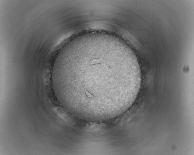 X0000090620824200708141411