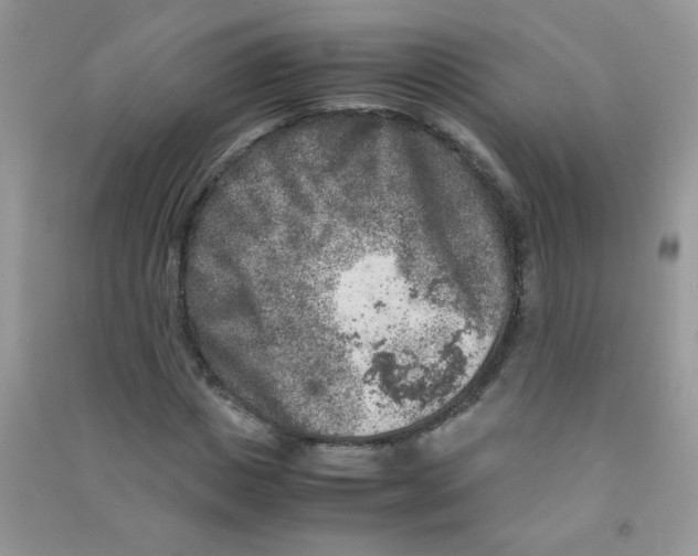 X0000090620825200708141411