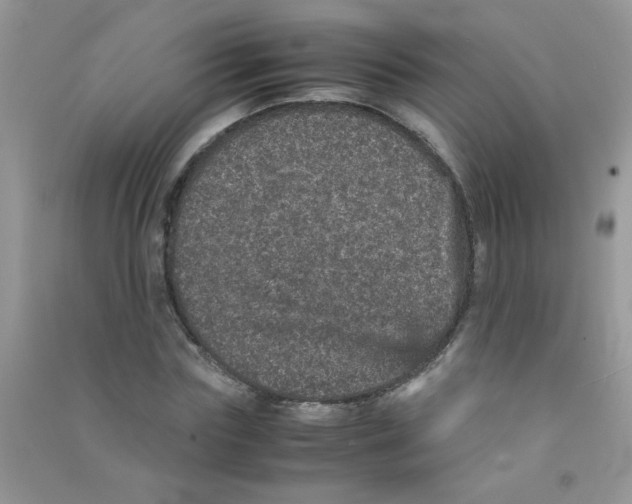 X0000090620827200708141411