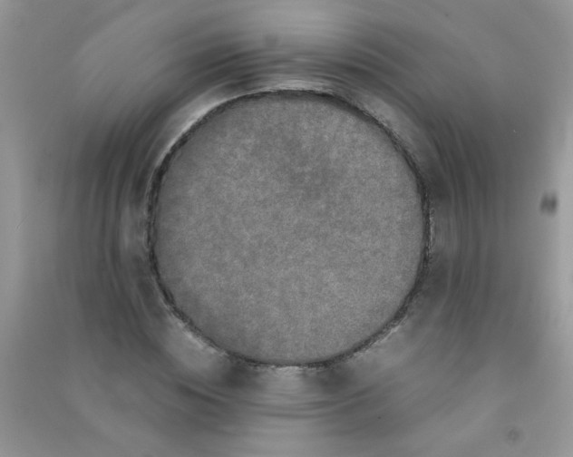 X0000090620828200708141411