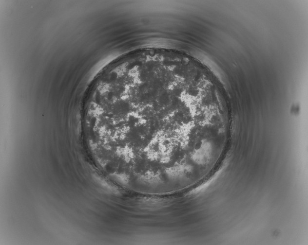 X0000090620829200708141411