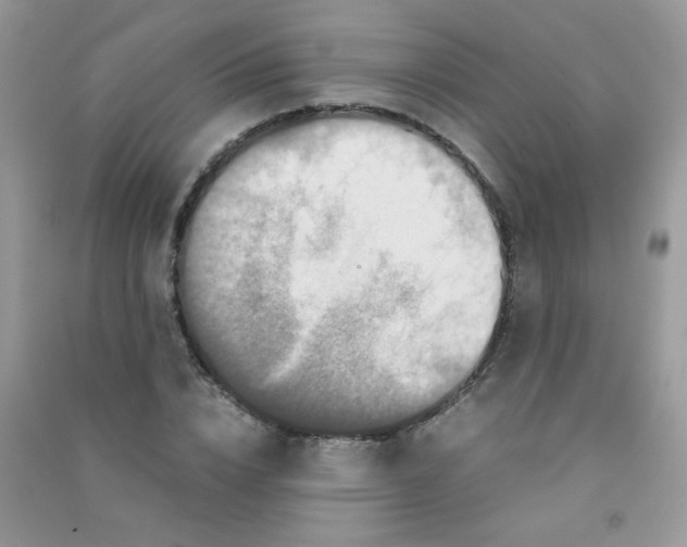 X0000090620832200708141411