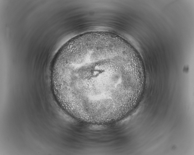 X0000090620835200708141411