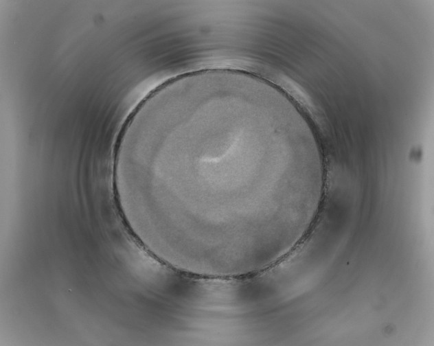 X0000090620836200708141411