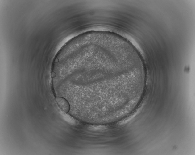 X0000090620837200708141411