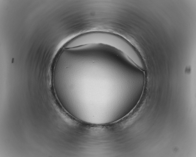 X0000090620838200708141411