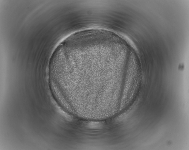 X0000090620839200708141411