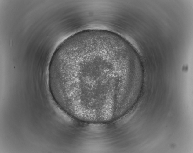 X0000090620840200708141411