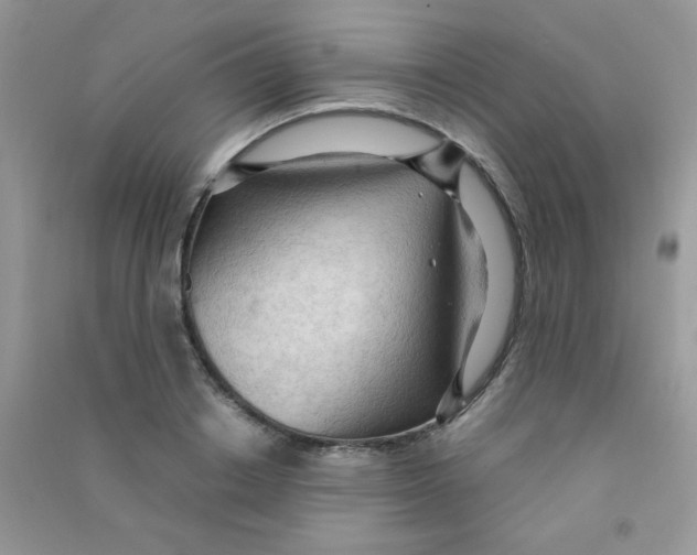 X0000090620842200708141411