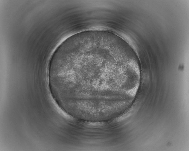 X0000090620843200708141411