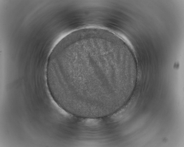 X0000090620847200708141411