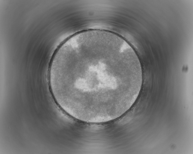 X0000090620848200708141411