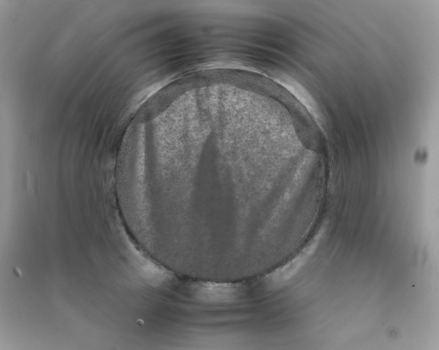 X0000090620849200708141411