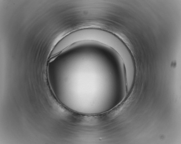 X0000090620850200708141411