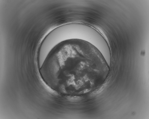 X0000090620851200708141411