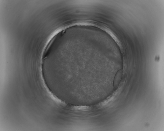 X0000090620853200708141411