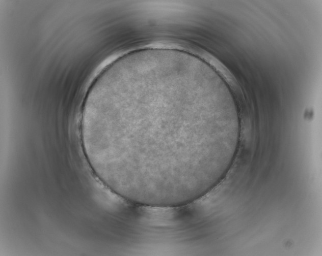 X0000090620856200708141411