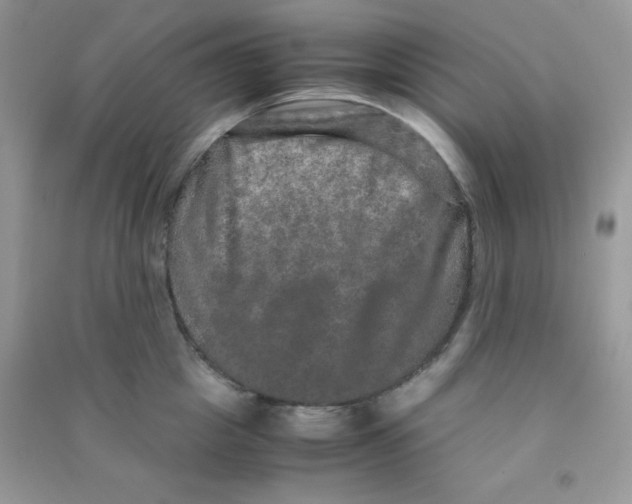 X0000090620857200708141411