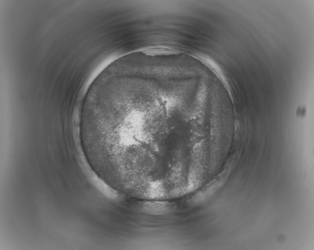 X0000090620859200708141411